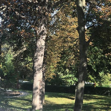 Domizil Eutschuetzgruen Lägenhet Bannewitz Exteriör bild
